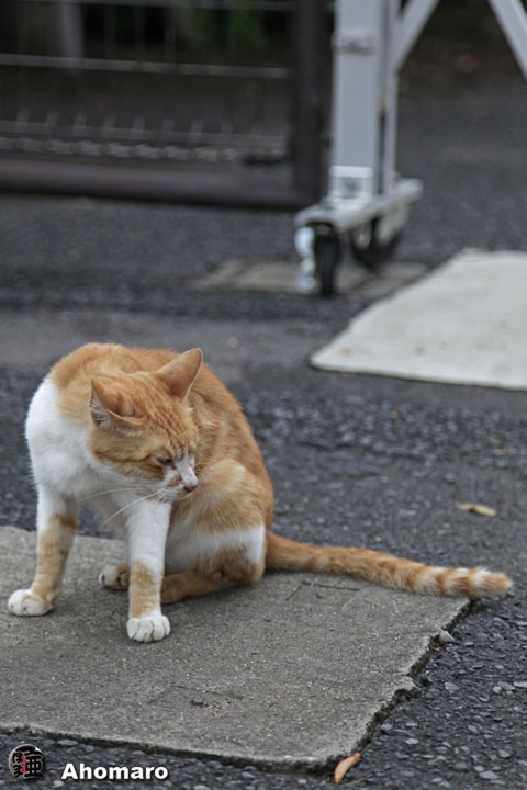 写真00