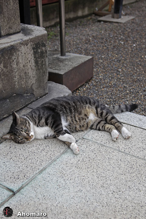 写真00