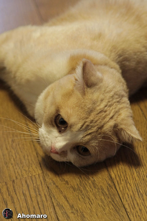 写真00