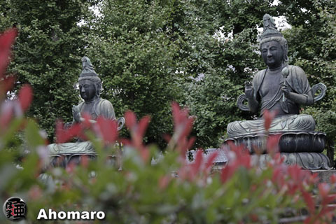写真00