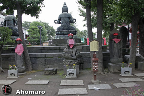 写真00