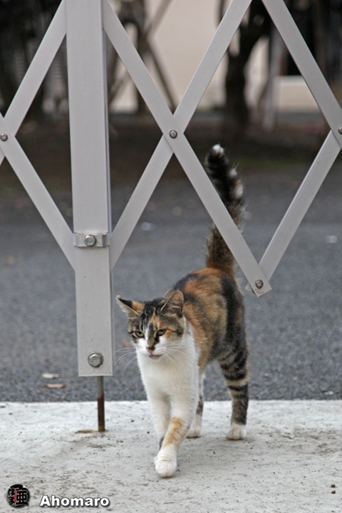 写真00