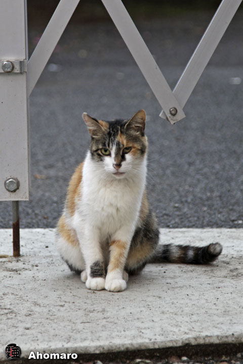写真00