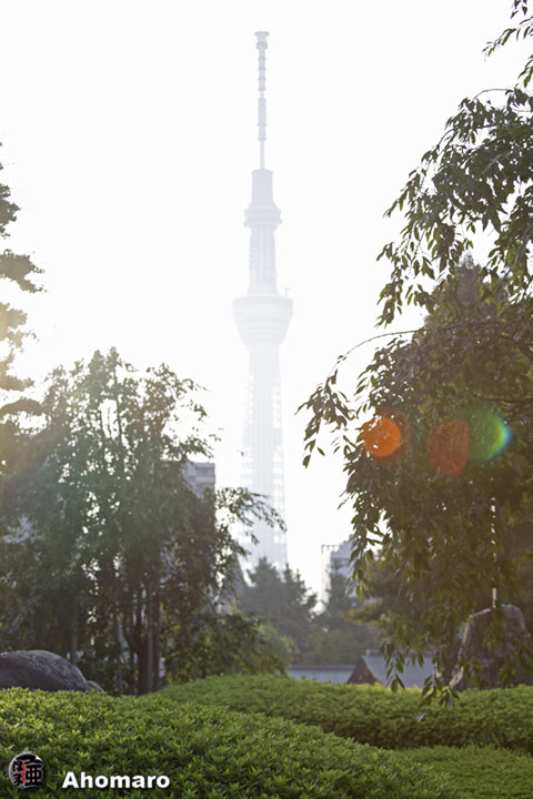 写真00