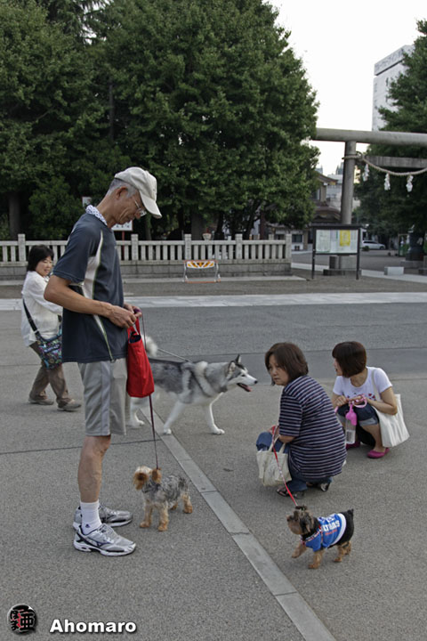 写真00