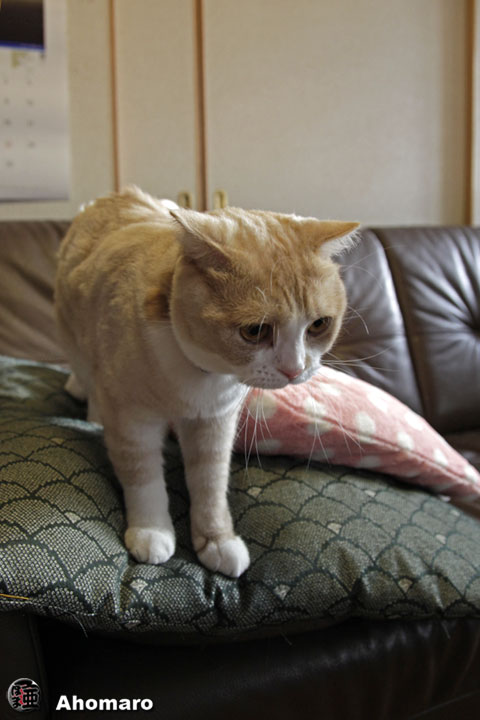 写真00