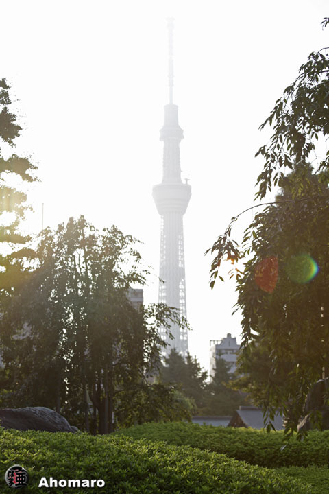 写真00