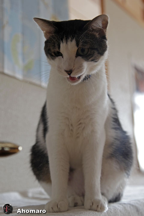 写真00