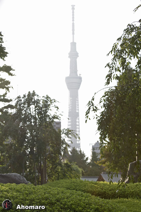 写真00