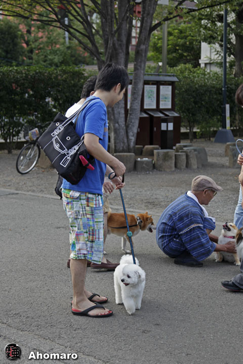 写真00