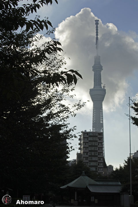 写真00
