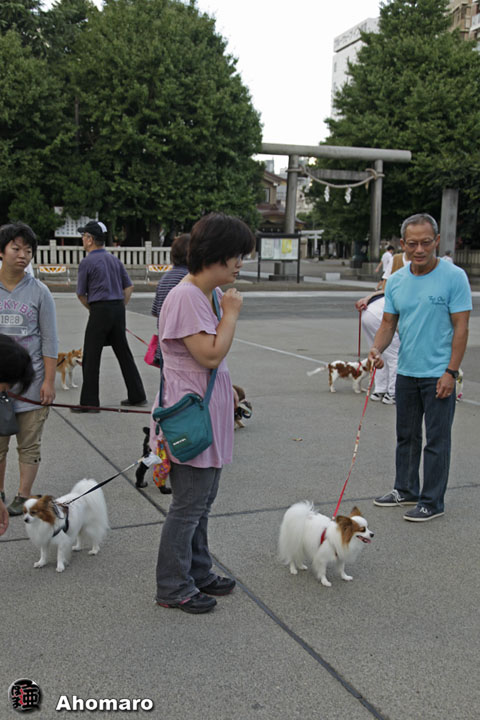 写真00