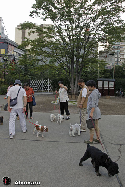 写真00