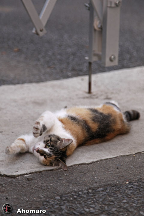 写真00