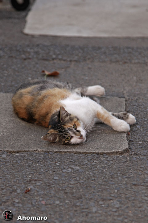 写真00