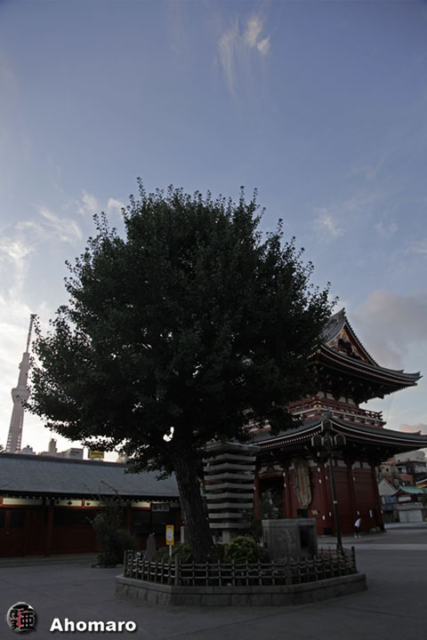 写真00