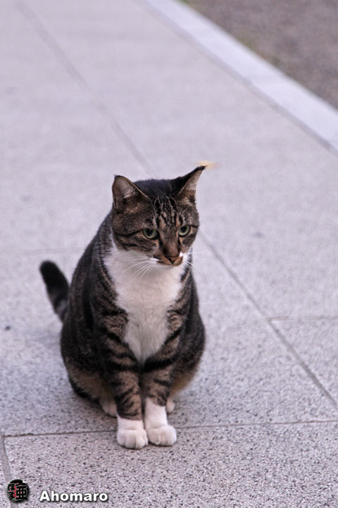 写真00