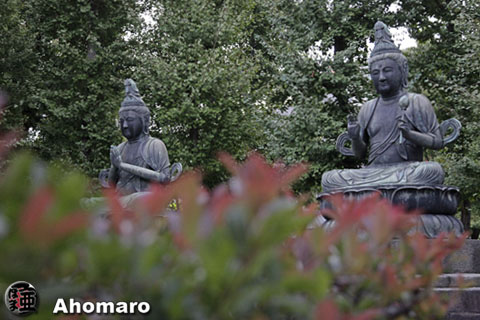 写真00