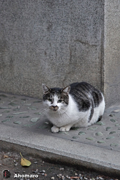 写真00