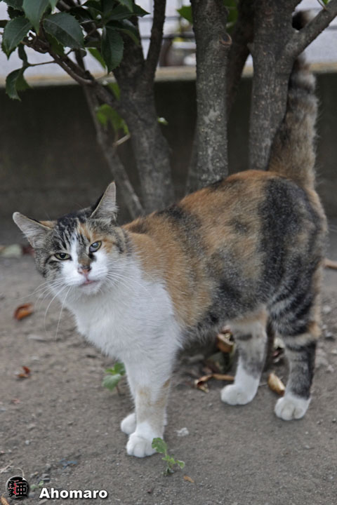 写真00