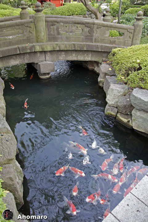 写真00