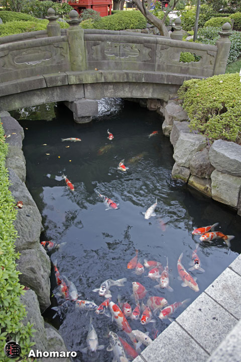 写真00