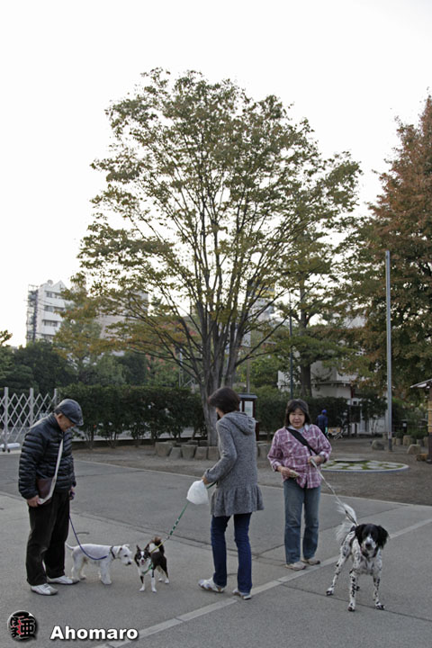 写真00