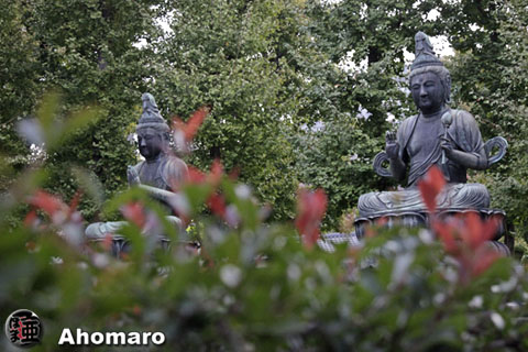 写真00