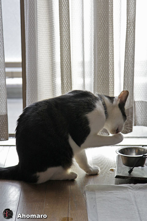写真00