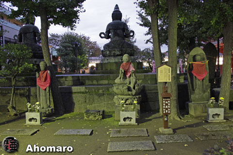 写真00
