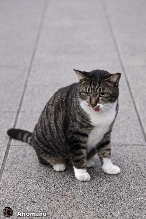写真00