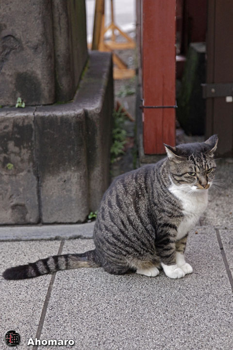 写真00
