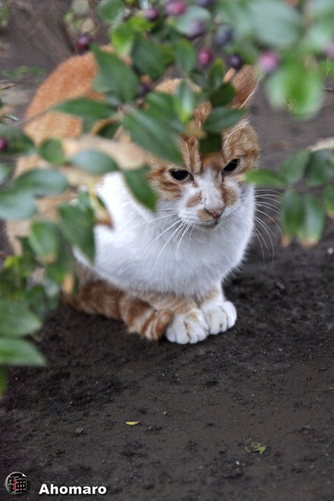 写真00