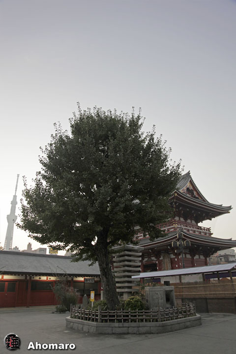写真00
