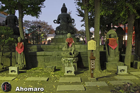 写真00