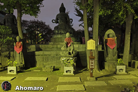 写真00