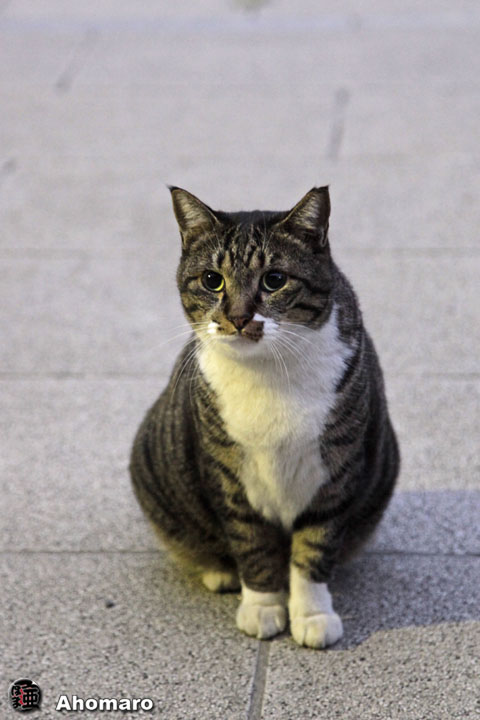 写真00
