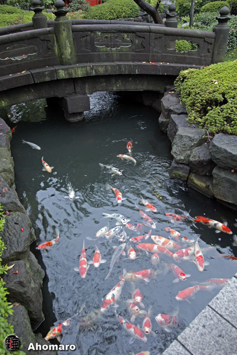 写真00