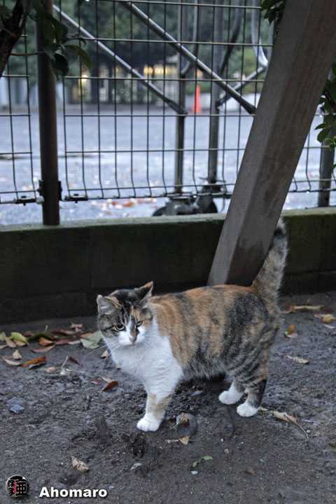 写真00