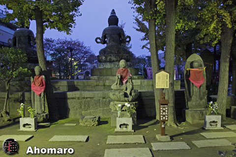 写真00