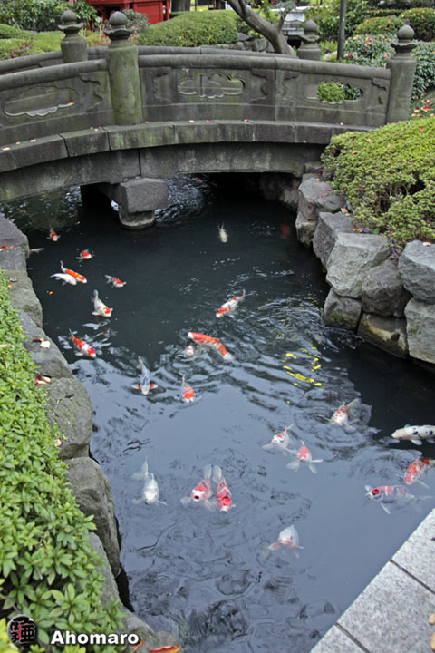 写真00