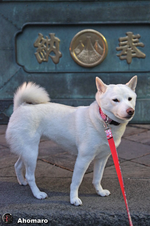 写真00
