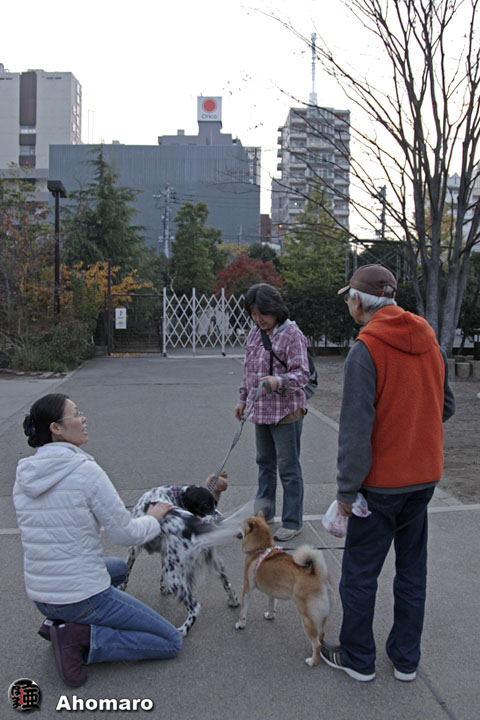 写真00