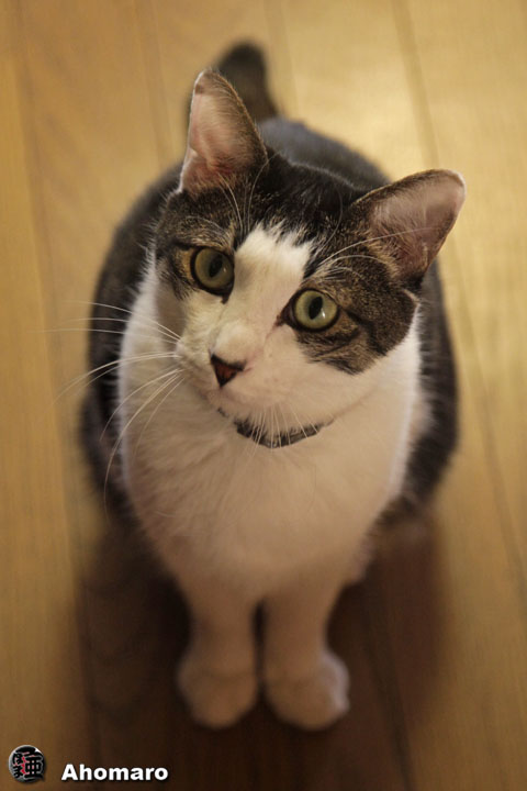 写真00