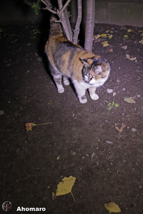 写真00