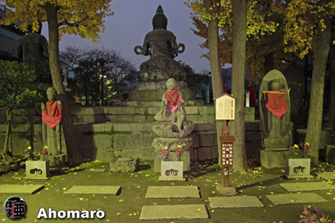 写真00