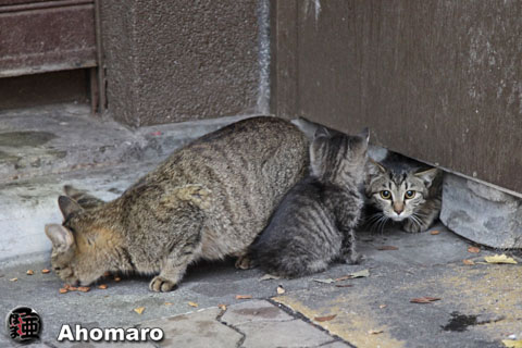 写真00