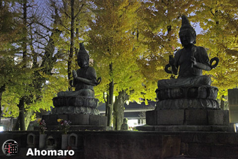 写真00