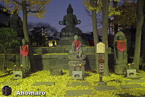 写真00