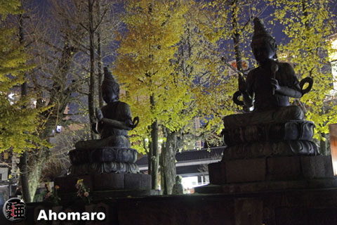 写真00